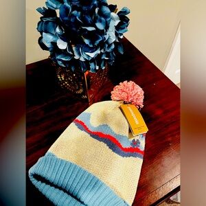 NEW Patagonia winter hat
